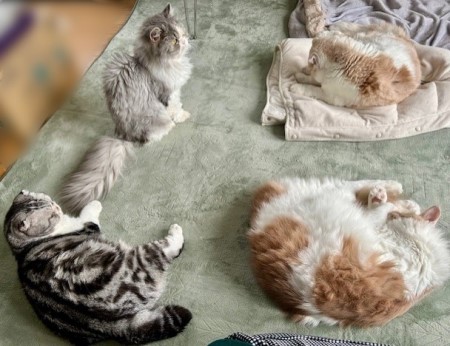 thumbnail_IMG_2909 (1)