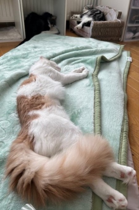 thumbnail_IMG_5606 (1)