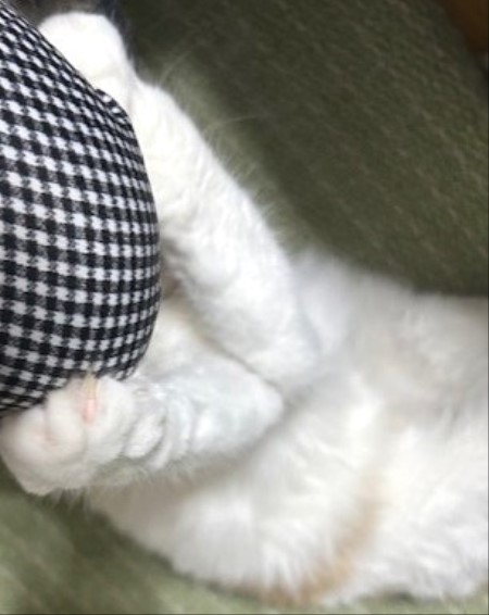 thumbnail_IMG_4928 (1)