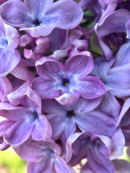 thumbnail_IMG_6930 (1)