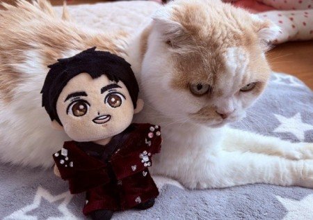 こひろみくんの服作り、これはいつの衣装？ : 猫だらけ Powered by