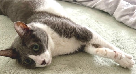 thumbnail_IMG_2552 (1)