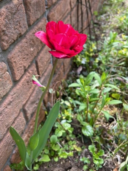 thumbnail_IMG_9891 (1)