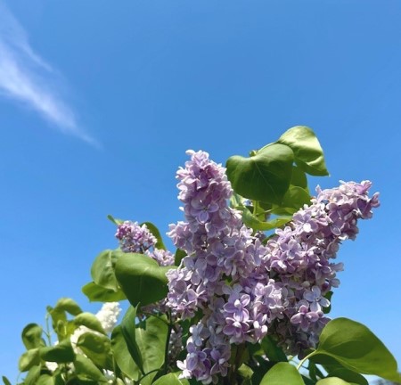 thumbnail_IMG_6803 (1)