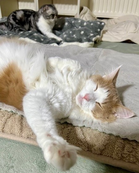 thumbnail_IMG_4822 (1)