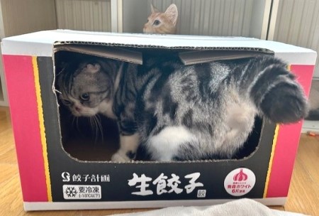 thumbnail_IMG_2449 (2)