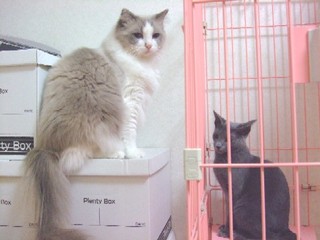 2007_10040018
