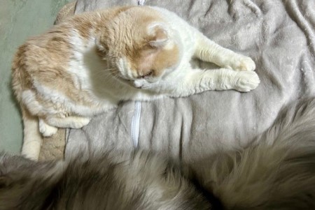 166f27e6-232a-4e53-88cf-d0ded9bf6b70