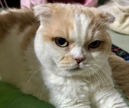 thumbnail_IMG_5633 (1)