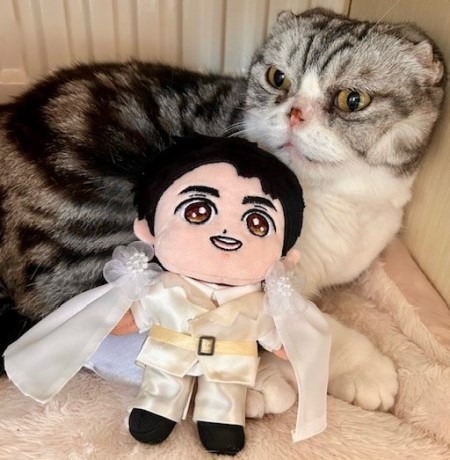 こひろみくん（郷ひろみさんのぬいぐるみ）の服作り⑥ : 猫だらけ