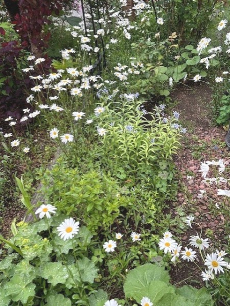 thumbnail_IMG_1334 (1)