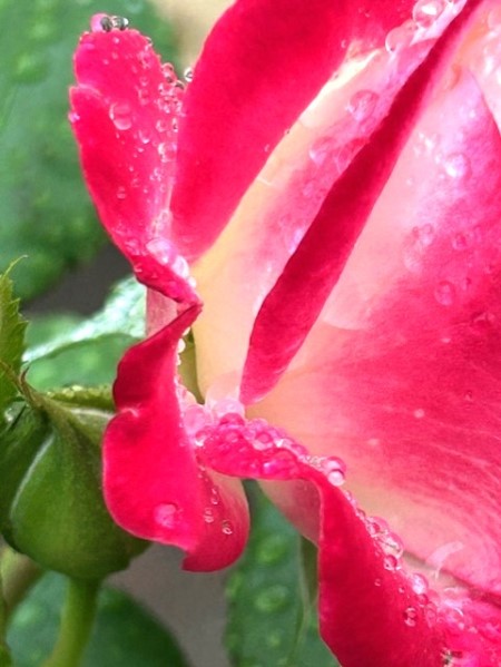 thumbnail_IMG_2675 (1)