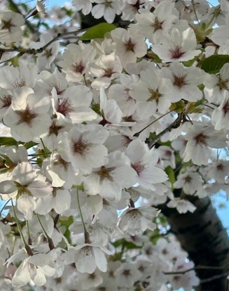 thumbnail_IMG_5590 (1)