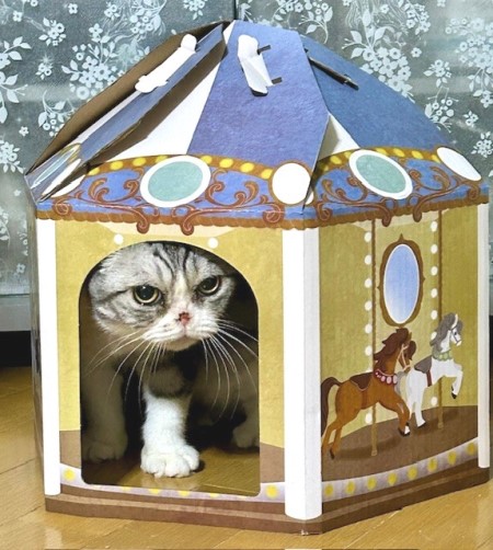 thumbnail_IMG_2783