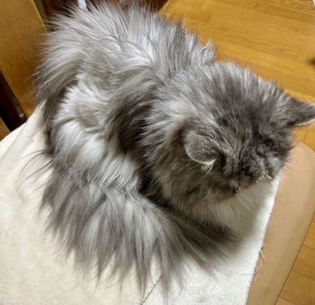 9300ed81-c280-4c57-be6b-0c57f1d74cdf