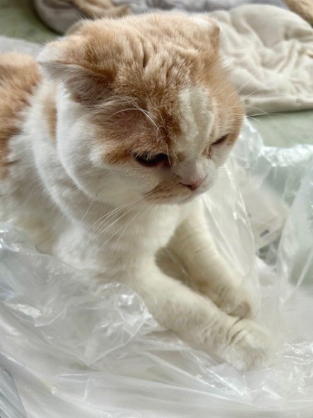 thumbnail_IMG_2776 (1)