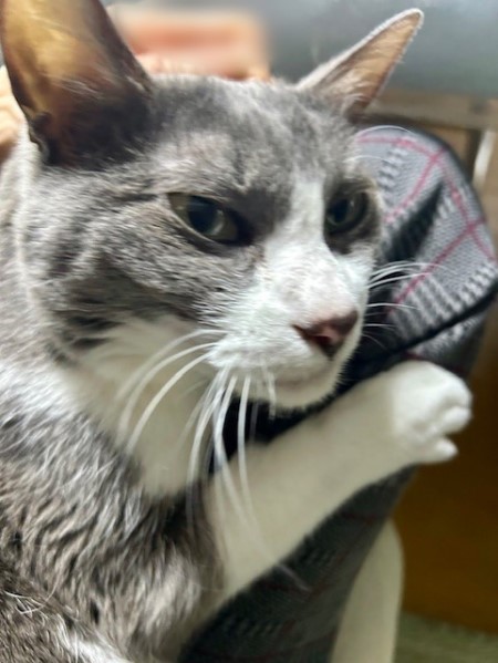 6c87d081-b11f-4211-b45e-951e1627fb22