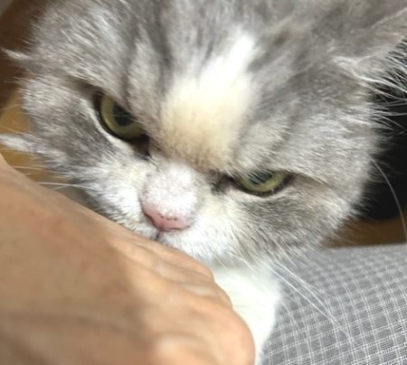 thumbnail_IMG_7611