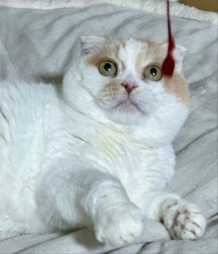 thumbnail_IMG_1430 (2)