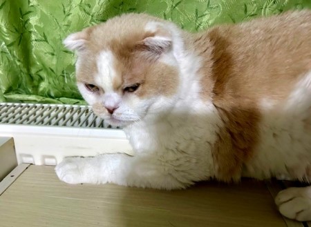 thumbnail_IMG_4948