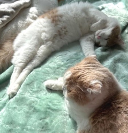 thumbnail_IMG_7794 (1)