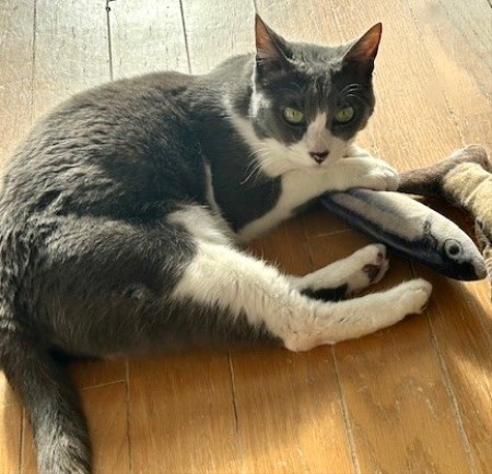 thumbnail_IMG_0513 (1)