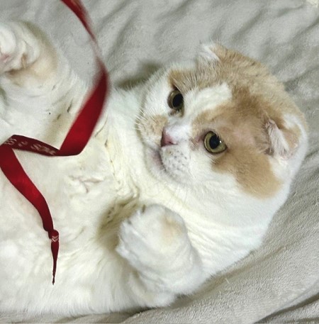 thumbnail_IMG_1447_2