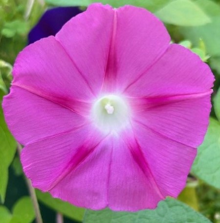 thumbnail_IMG_2397 (2)