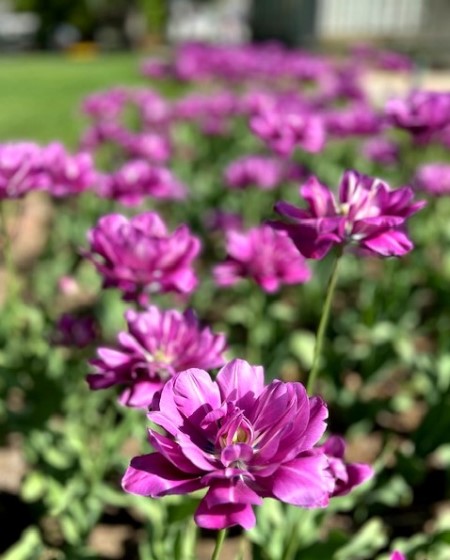 thumbnail_IMG_0111