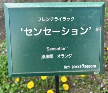 thumbnail_IMG_0230 (1)