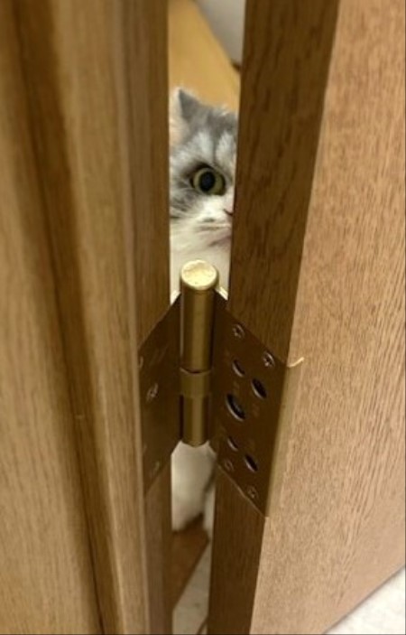 thumbnail_IMG_1368 (1)