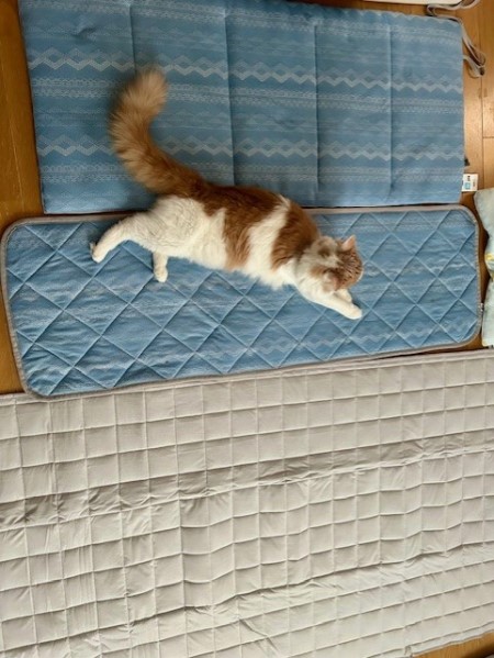 thumbnail_IMG_9333 (1)