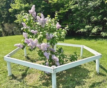 thumbnail_IMG_6890 (3)