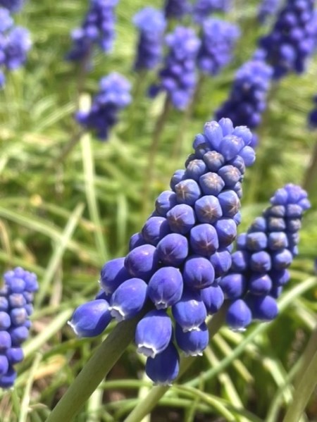 thumbnail_IMG_9455