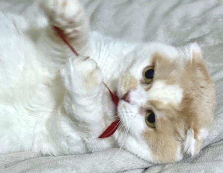 thumbnail_IMG_1439 (3)