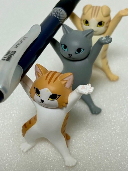 thumbnail_IMG_0044 (1)