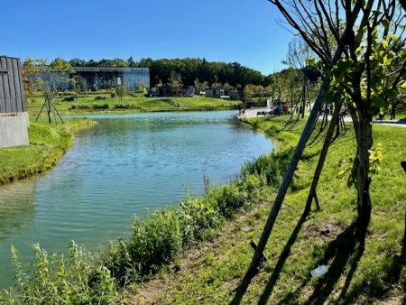 thumbnail_IMG_0737 (1)