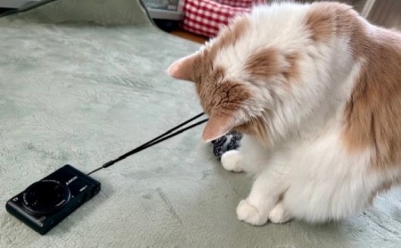 thumbnail_IMG_6356 (1)