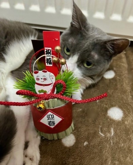 thumbnail_IMG_6096 (1)