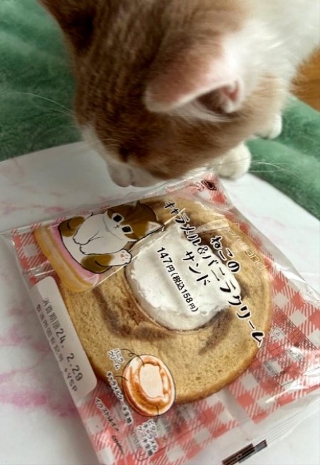 thumbnail_IMG_5719 (1)