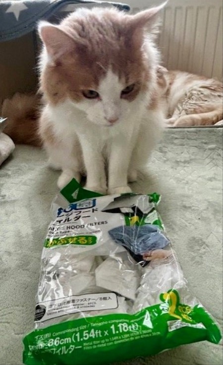 thumbnail_IMG_5662 (1)