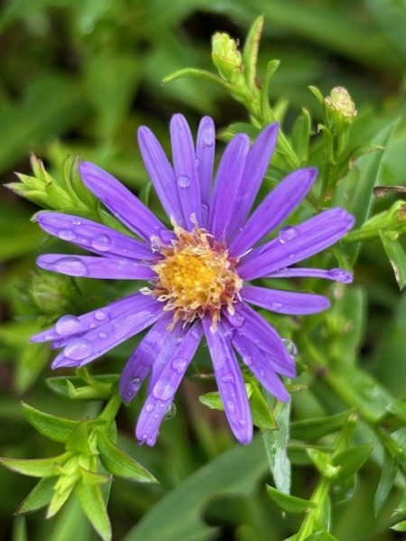 thumbnail_IMG_4478 (1)