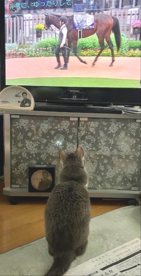 thumbnail_IMG_4094_1