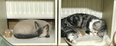 633ce54b-8e6a-46f3-9264-b33bf2102e50