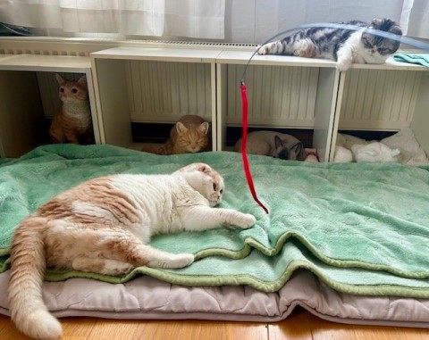 thumbnail_IMG_0290 (1)