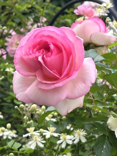 thumbnail_IMG_1846 (2)