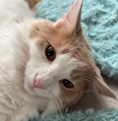 thumbnail_IMG_1516 (2)