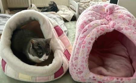 thumbnail_IMG_4753 (1)