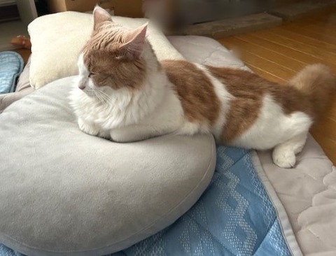 thumbnail_IMG_4143 (2)