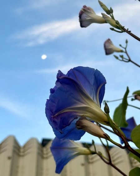 thumbnail_IMG_3468 (1)